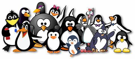Image for event: Penguins, Penguins Everywhere 